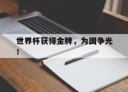 ac米兰-世界杯获得金牌，为国争光！